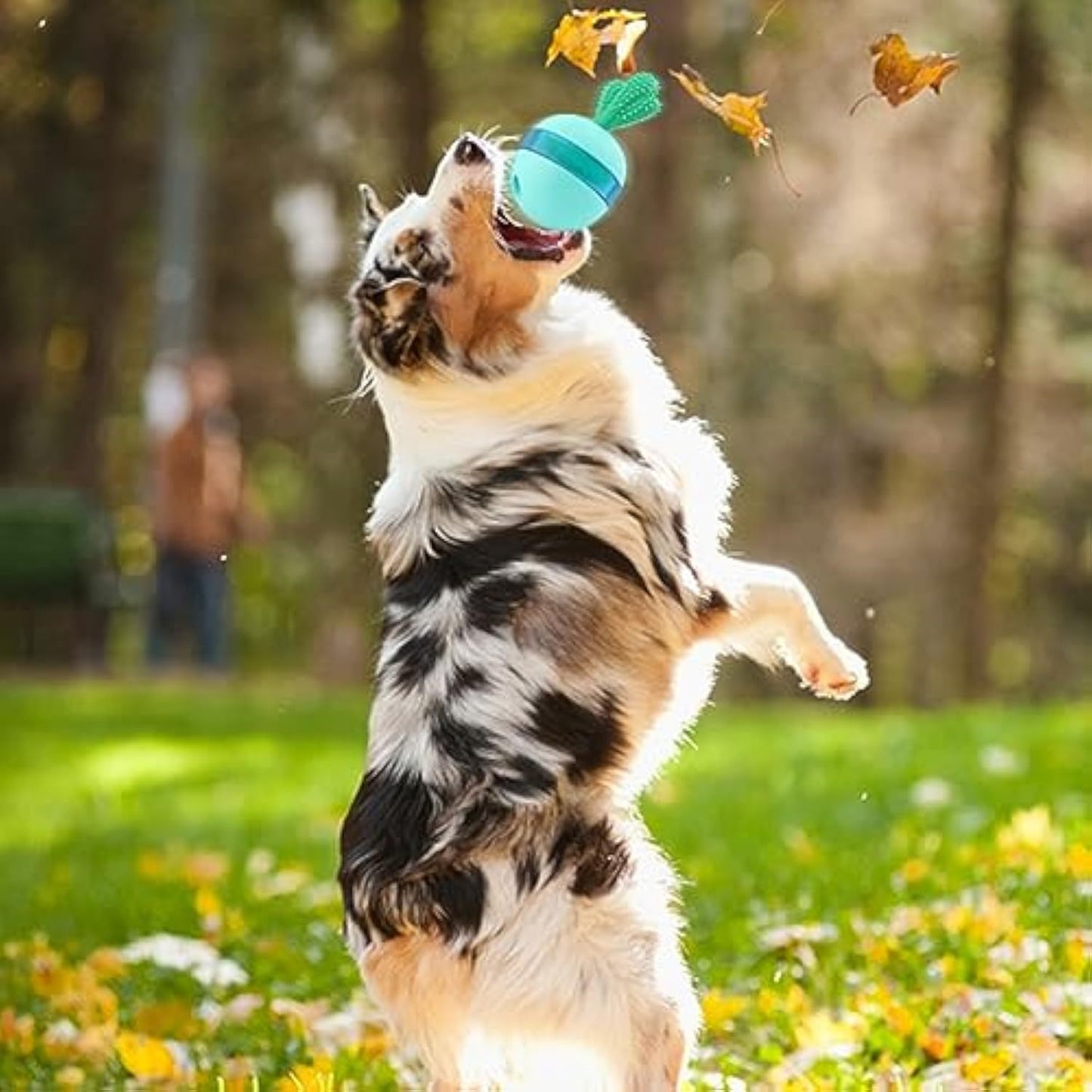 Dental hygiene treat dispensing dog toy.