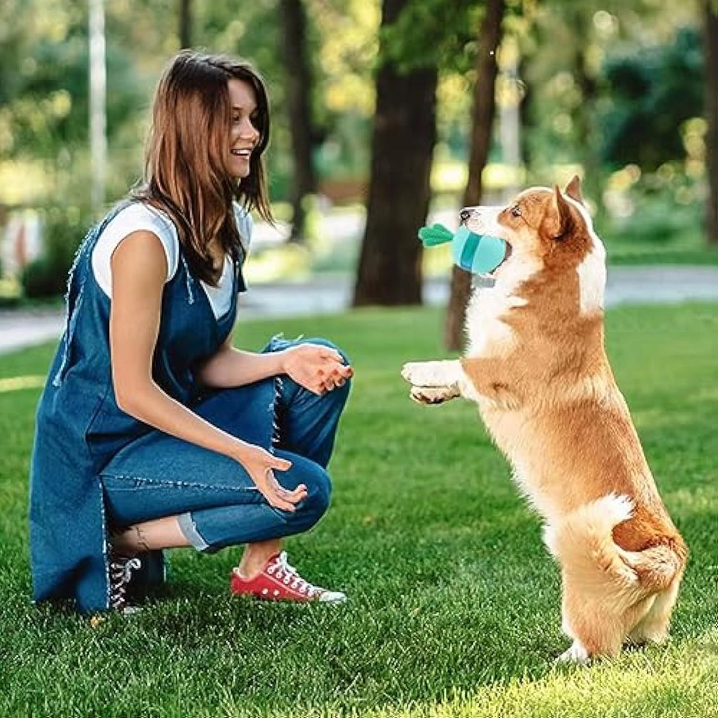 Dental hygiene treat dispensing dog toy.