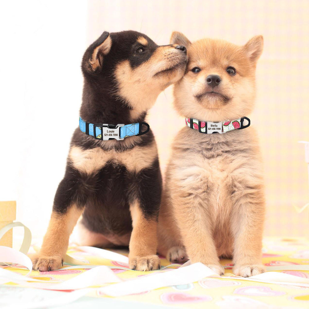 Personalised dog collar