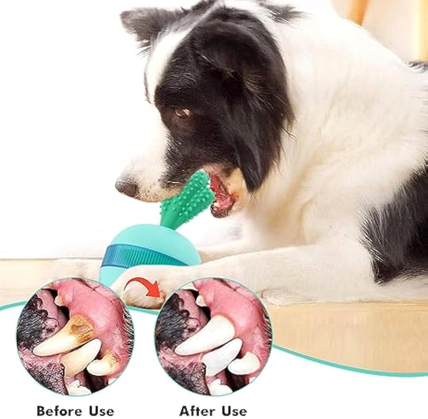 Dental hygiene treat dispensing dog toy.