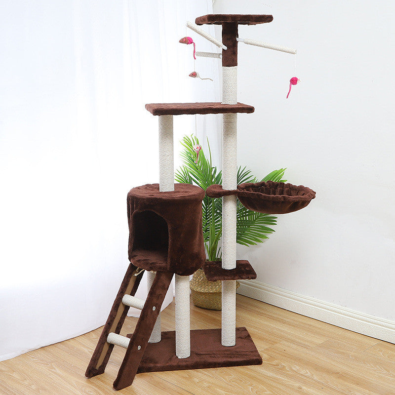 Cat Indoor engaging jungle gym