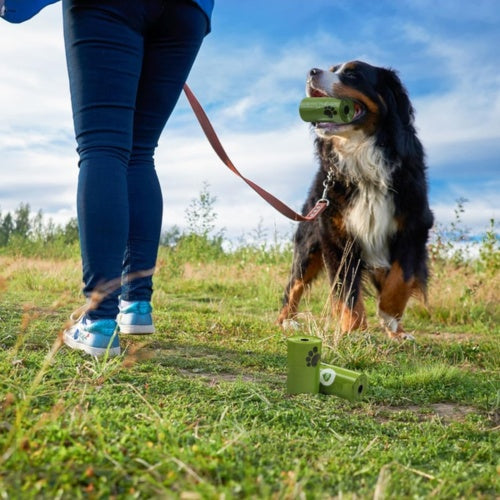 Year supply of dog waste bags
