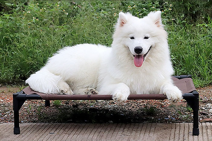 Pets undercover outdoors lounger