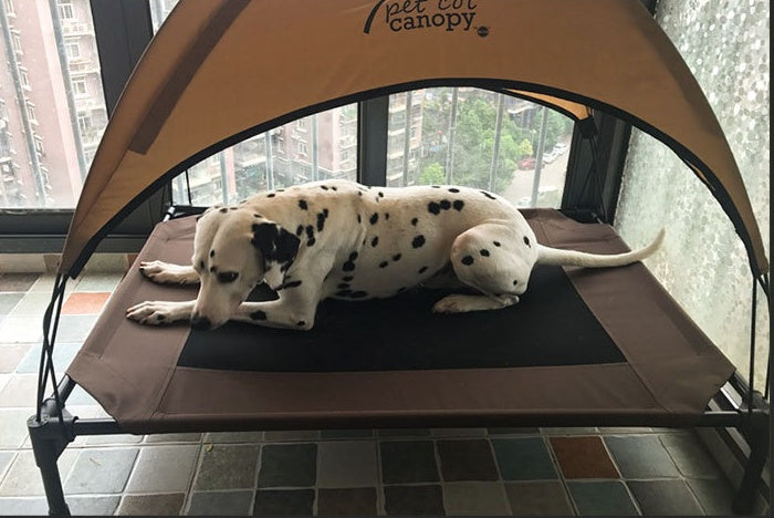 Pets undercover outdoors lounger